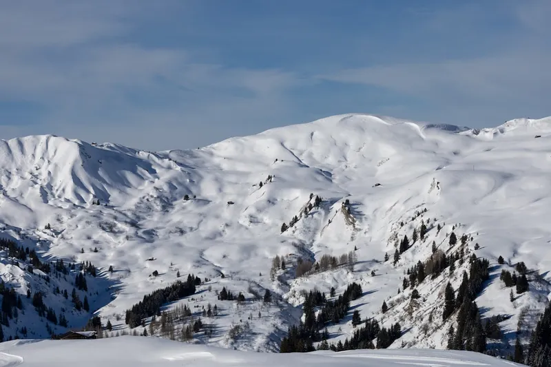 Snow-covered mountains with scattered pine trees under a blue sky.